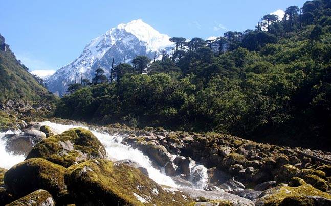 Khangchendzonga National Park, UNESCO World Heritage Site